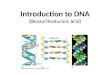Introduction to DNA ( D eoxyribo n ucleic  a cid)