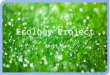 Ecology Project