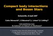 Compact  body interactions             and  Boson Stars