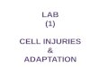 LAB (1) Cell injuries & Adaptation