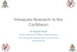 Mosquito Research in the Caribbean