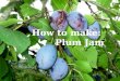 How to make:  Plum Jam
