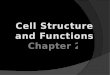 Cell Structure and Functions Chapter 2