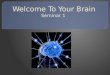 Welcome To Your Brain Seminar 1
