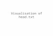 Visualisation  of  head.txt