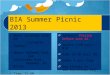 BIA Summer Picnic 2013