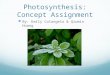 Photosynthesis: Concept Assignment
