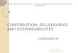 CONTRIBUTION, DELIVERABLES AND RESPONSABILITIES