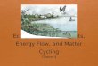 Ecosystems: Components, Energy Flow, and Matter Cycling