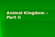 Animal Kingdom – Part II
