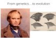 From genetics…to evolution