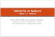 Patterns in Nature Topic 17: Mitosis