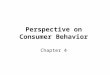 Perspective on Consumer  Behavior Chapter 4