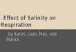 Effect of Salinity on Respiration