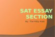SAT essay section