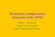 Principal Components Analysis with  SPSS
