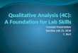 Qualitative Analysis (4C): A Foundation for Lab Skills