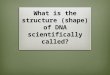 What is  the  structure (shape)  of DNA scientifically called?