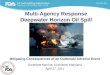 Multi-Agency Response Deepwater Horizon Oil Spill