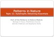 Patterns in Nature Topic 11:  Autotrophs Obtaining  Essentials