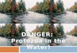 DANGER:  Protozoa in the Water!