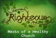 Marks of a Healthy Church Romans 16