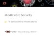 Middleware Security