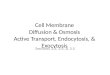 Cell Membrane Diffusion & Osmosis Active Transport, Endocytosis, & Exocytosis