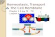 Homeostasis, Transport  & The Cell Membrane