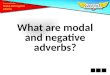 What are modal and negative adverbs?