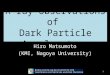 X-ray observations of  Dark Particle Accelerators