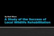 A Study of the Success of Local Wildlife  Rehabilitation