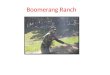 Boomerang Ranch