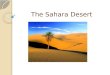 The Sahara  Desert