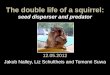 The double life of a squirrel: seed disperser and predator