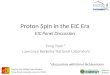 Proton Spin in the EIC Era EIC Panel Discussion