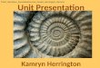 Unit Presentation