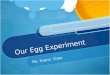 Our Egg Experiment