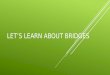 Let’s Learn About Bridges