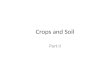 Crops and Soil
