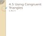 4.5 Using Congruent Triangles