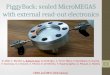 PiggyBack :  sealed MicroMEGAS with external read -out  electronics