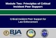 Module Two:  Principles of Critical Incident Peer  Support