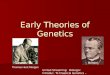 Early Theories of Genetics