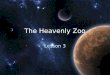 The Heavenly Zoo