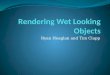 Rendering Wet Looking Objects