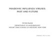 PANDEMIC INFLUENZA VIRUSES:  PAST AND FUTURE