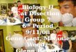 Biology II Cat Disection Group 7 6 th  Period 9/11/08 Gene Gant, Melanie Wood,  Glenn DeWitt