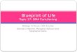 Blueprint of Life Topic  17: DNA Functioning