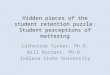 Hidden pieces of the student retention puzzle: Student perceptions of  mattering